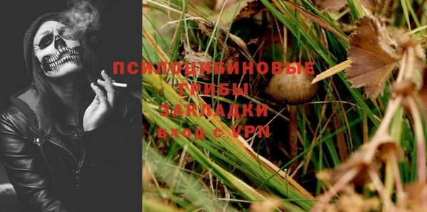 ГАЛЛЮЦИНОГЕННЫЕ ГРИБЫ Алзамай