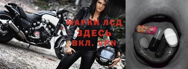 стаф Алексин