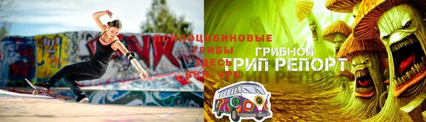 стаф Алексин