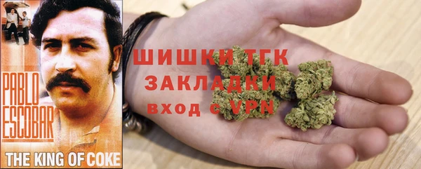 стаф Алексин